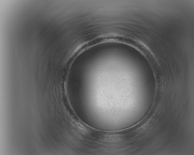 X0000061120921200511241706