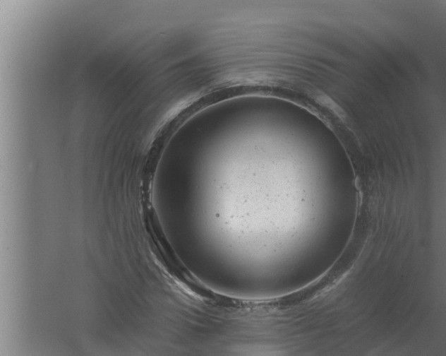 X0000061120922200511241706