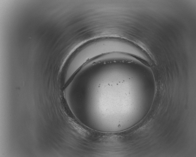 X0000061120926200511241706