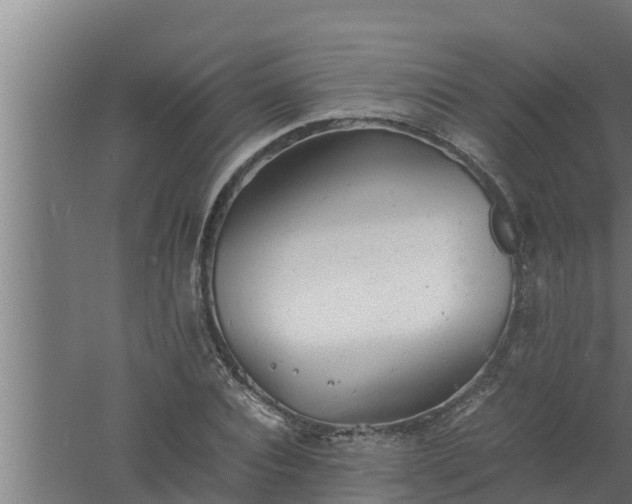 X0000061120928200511241706