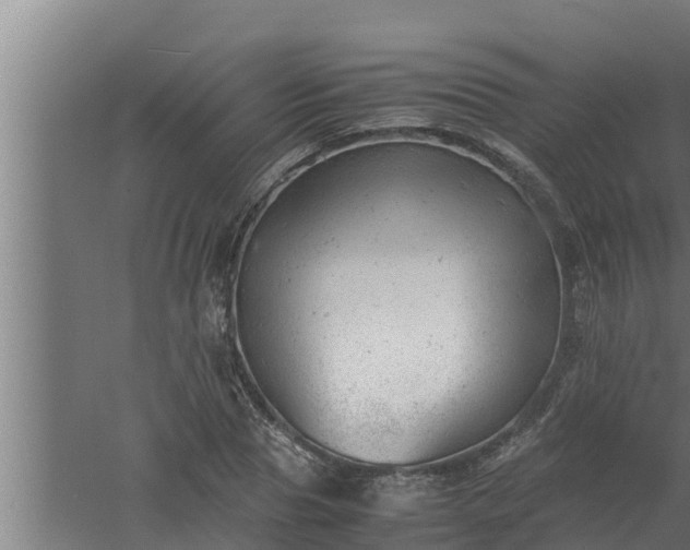 X0000061120929200511241706