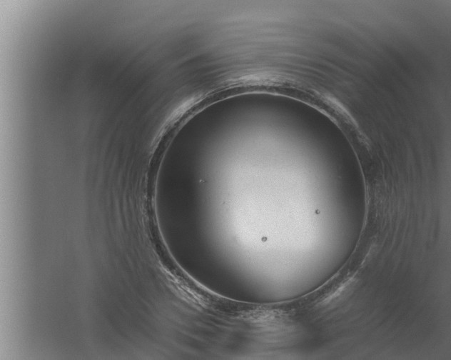 X0000061120930200511241706