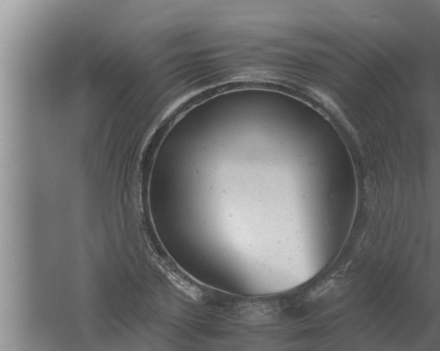 X0000061120931200511241706