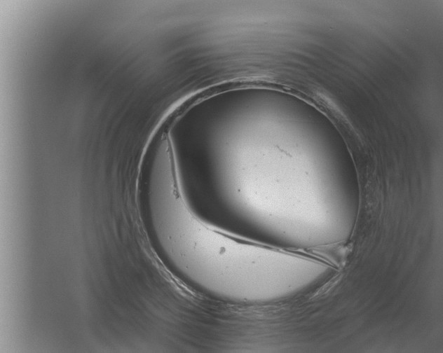 X0000061120932200511241706