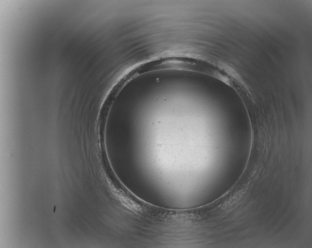 X0000061120934200511241706