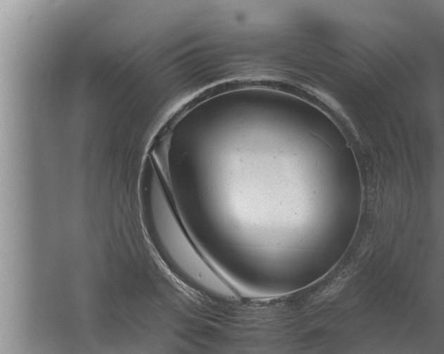 X0000061120935200511241706