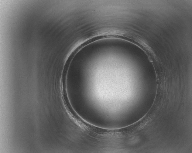 X0000061120936200511241706