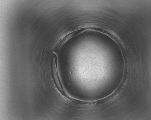 X0000061120937200511241706