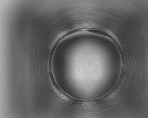 X0000061120938200511241706