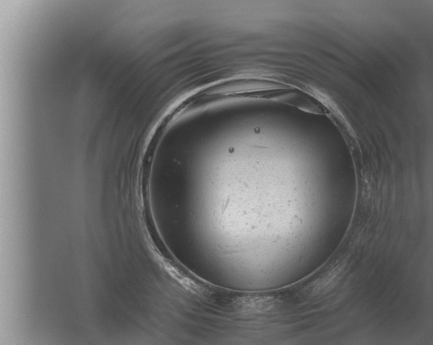 X0000061120939200511241706