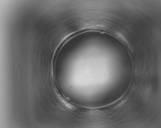 X0000061120940200511241706