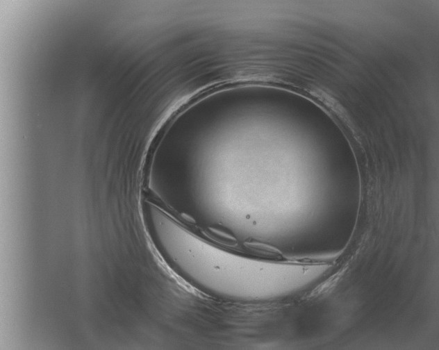 X0000061120941200511241706