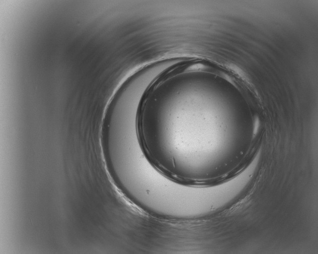 X0000061120942200511241706