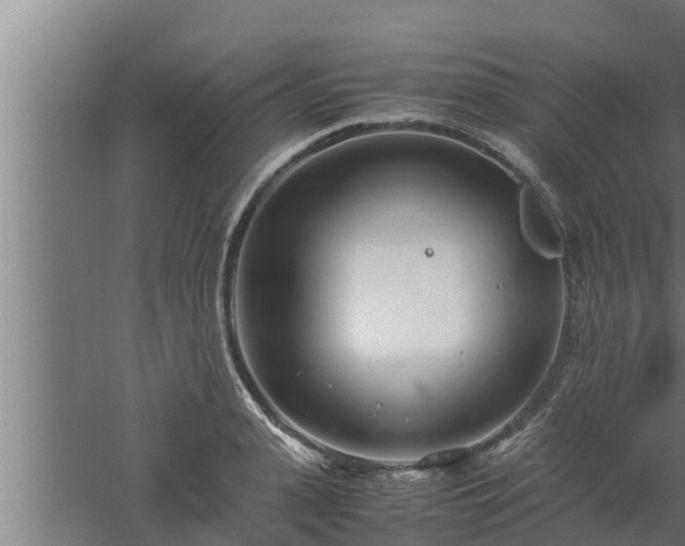 X0000061120943200511241706