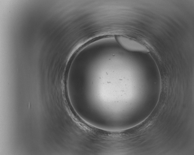 X0000061120944200511241706