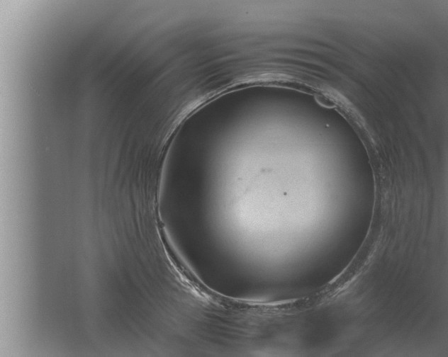 X0000061120945200511241706