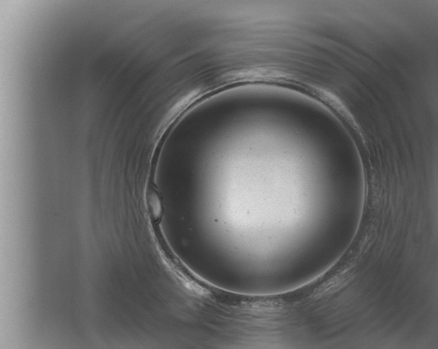 X0000061120946200511241706