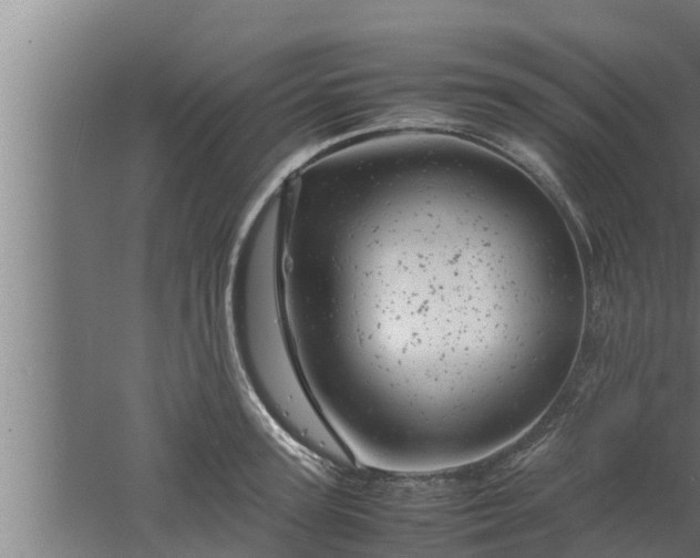 X0000061120947200511241706