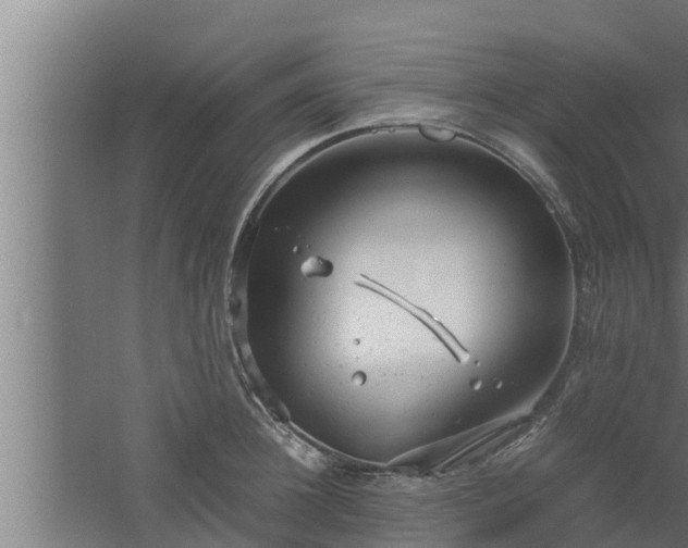 X0000061120948200511241706