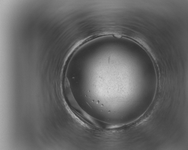 X0000061120949200511241706