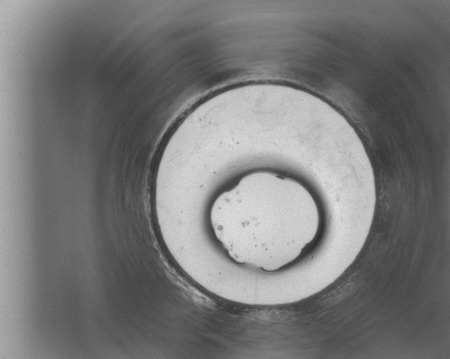 X0000061120950200511241706