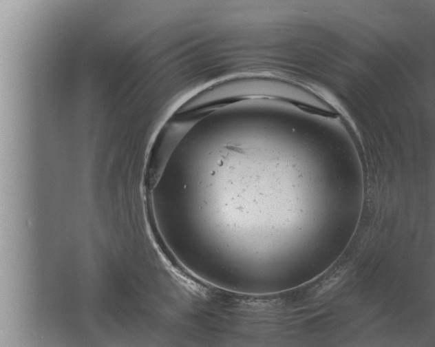 X0000061120951200511241706