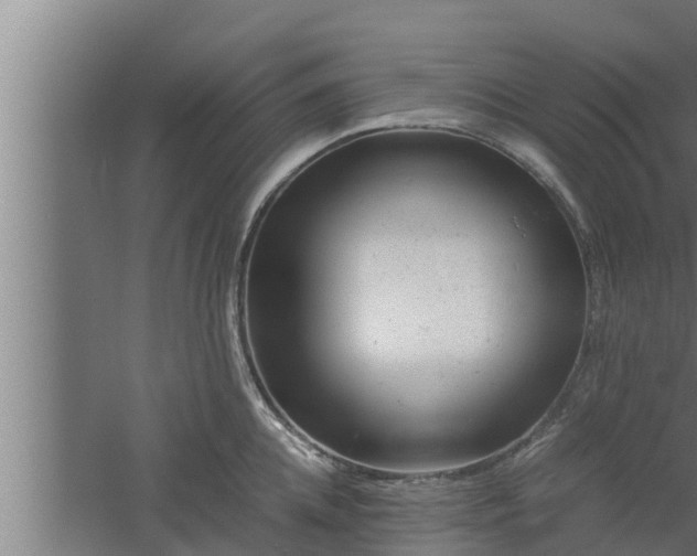 X0000061120952200511241706