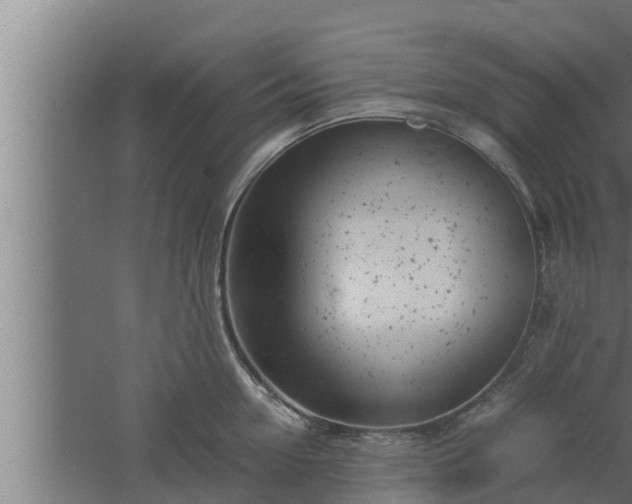 X0000061120954200511241706