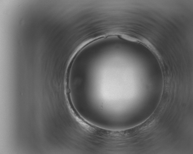 X0000061120955200511241706