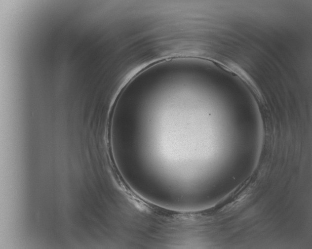 X0000061120956200511241706