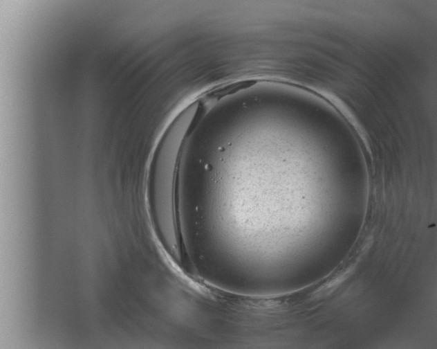 X0000061120957200511241706