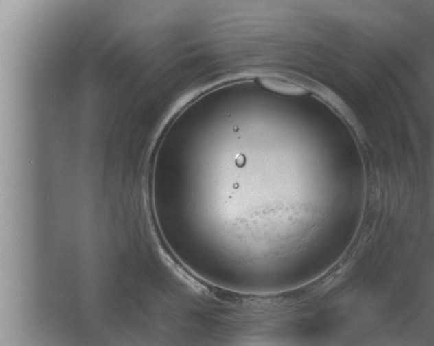 X0000061120958200511241706