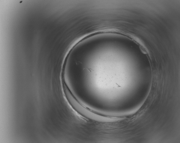 X0000061120959200511241706