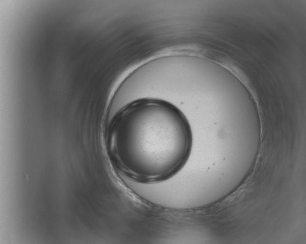 X0000061120960200511241706