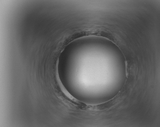 X0000061120961200511241705