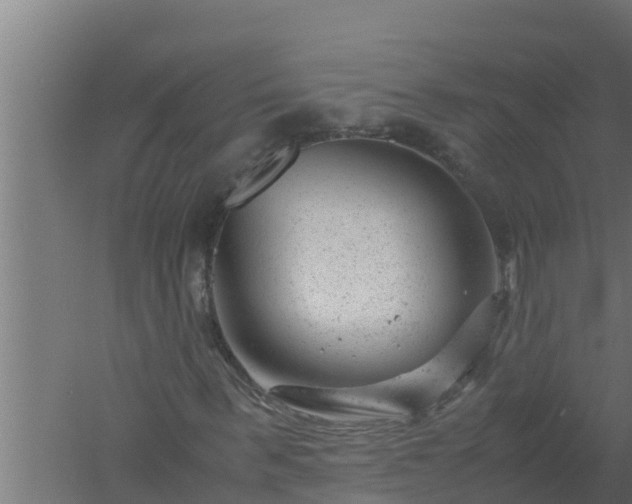 X0000061120963200511241705