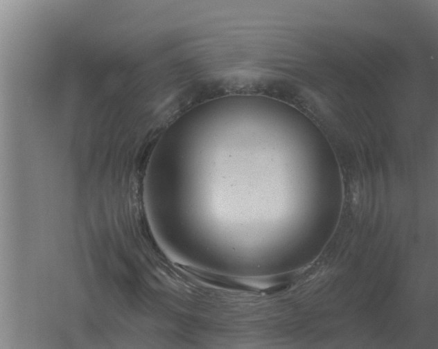 X0000061120964200511241705