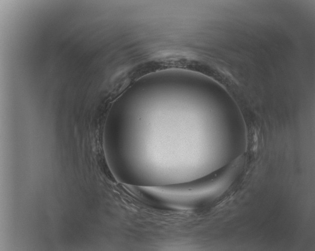 X0000061120965200511241705