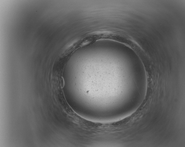 X0000061120967200511241705