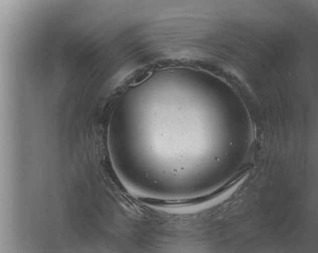 X0000061120968200511241705