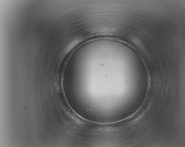 X0000061120970200511241705