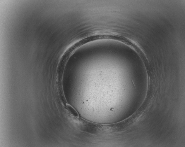 X0000061120971200511241705