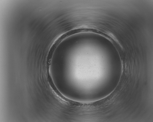 X0000061120972200511241705