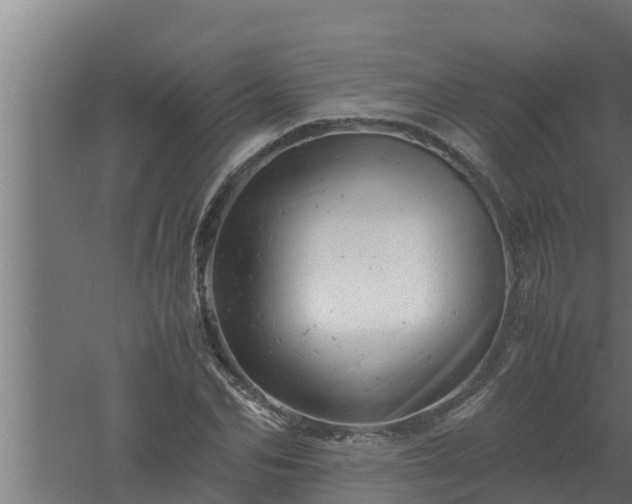 X0000061120974200511241705