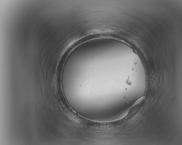 X0000061120975200511241705