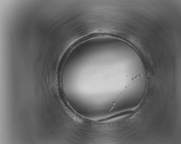 X0000061120976200511241705