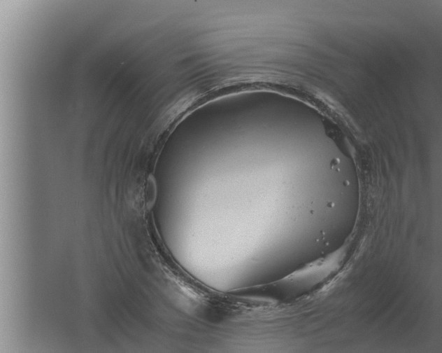 X0000061120977200511241705