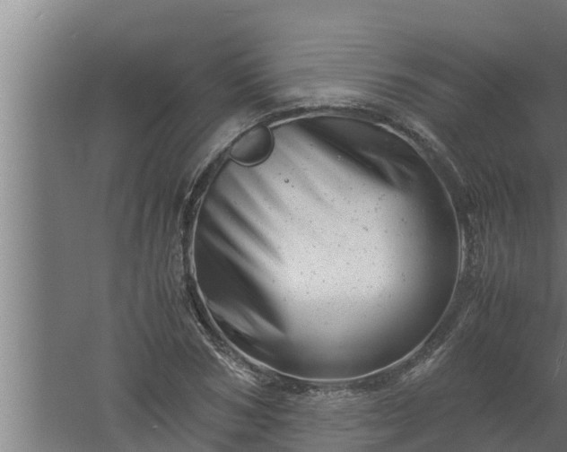 X0000061120978200511241705