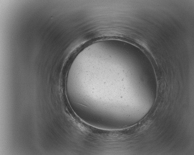 X0000061120979200511241705