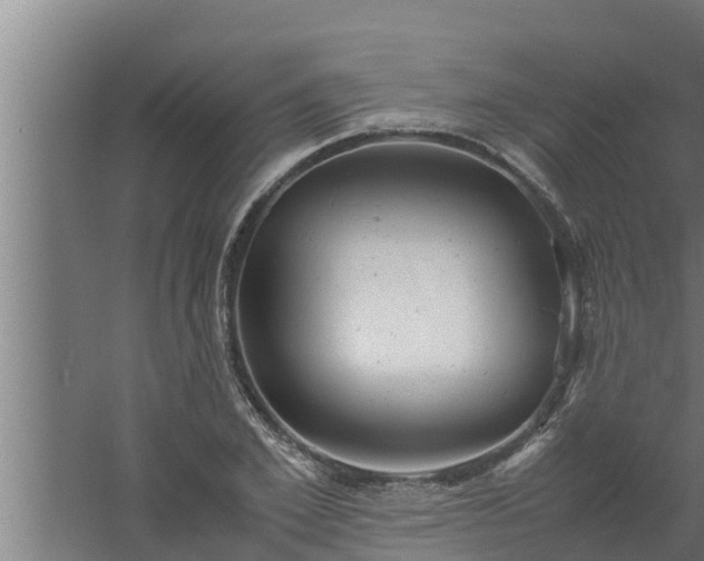 X0000061120981200511241705